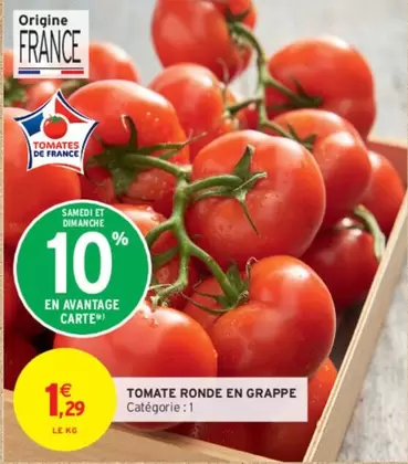 Tomate Ronde En Grappe