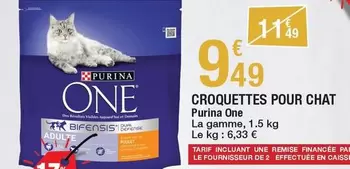 Purina - Croquettes Pour Chat