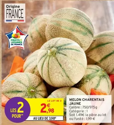 Melon Charentais Jaune