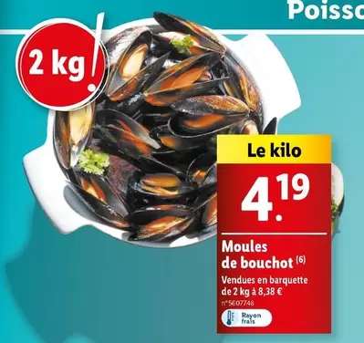 Moules De Bouchot