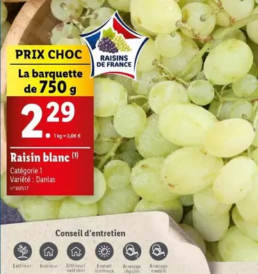 Raisin Blanc