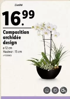 composition orchidée design