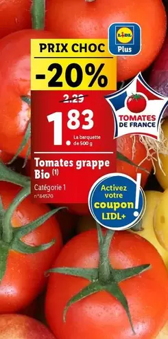 Tomates Grappe Bio