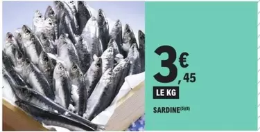 Sardine