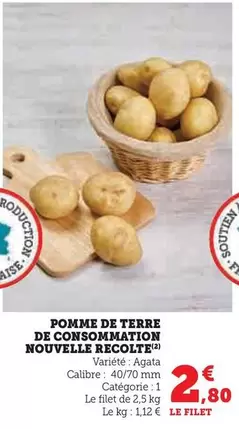 Pomme De Terre De Consommation Nouvelle Recolte