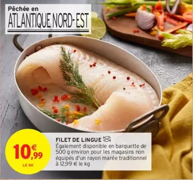 Filet De Lingue