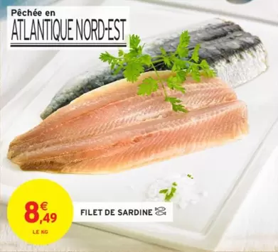 Filet De Sardine