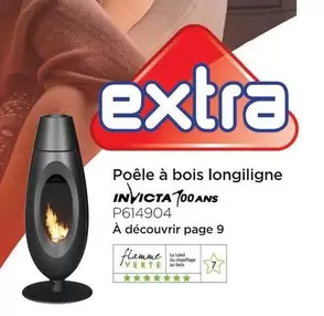 Invicta - Poêle À Bois Longiligne offre sur Extra