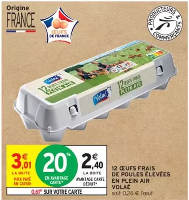 Volaé - 12 Oeufs Frais de Poules Élevées en Plein Air - Qualité Premium