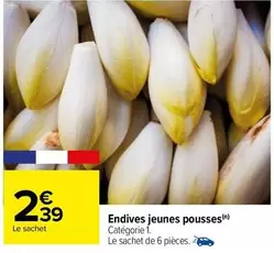 endives jeunes pousses