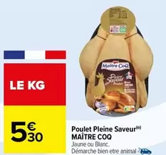 Maître Coq - Poulet Pleine Saveur