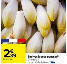 Endives Jeunes Pousses