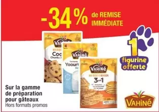 Vahiné - Préparation Gâteaux : Goût unique, pratique et rapide pour des desserts réussis !