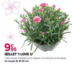 Œillet I Love U offre à 9,95€ sur Kiriel