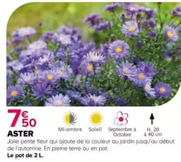 Aster offre à 7,5€ sur Kiriel