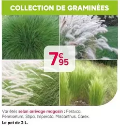 Collection De Graminées offre à 7,95€ sur Kiriel