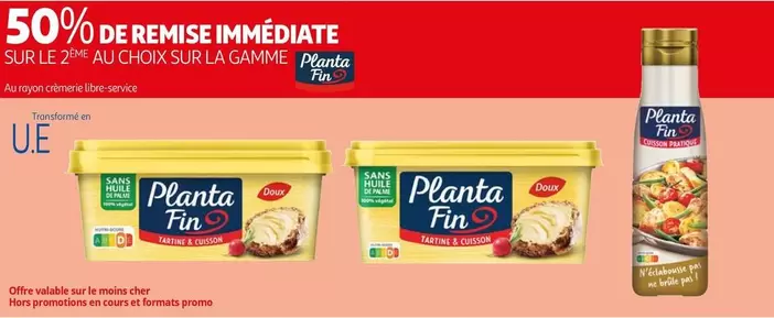 Planta fin - Sur La Gamme