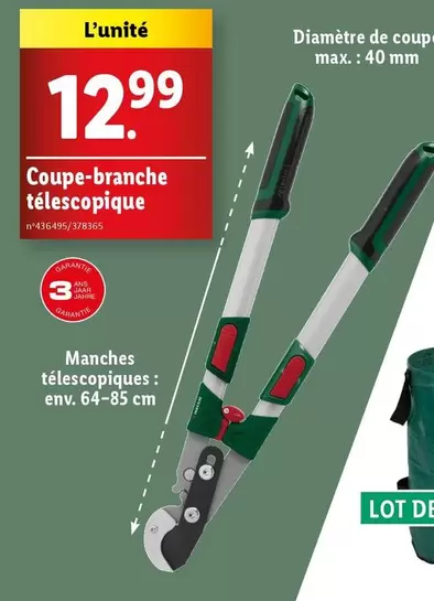 Coupe-branche Télescopique