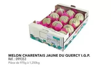 Melon Charentais Jaune Du Quercy I.G.P. offre sur Metro