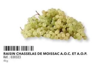 Raisin Chasselas De Moissac A.O.C. Et A.O.P. offre sur Metro