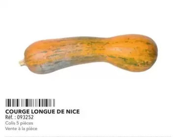 Courge Longue De Nice offre sur Metro