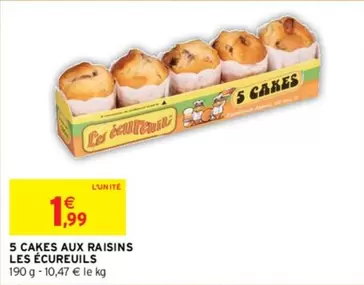 5 Cakes Aux Raisins Les Écureuils