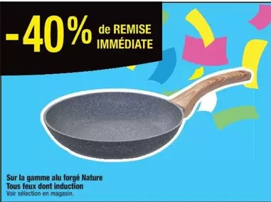 Gamme Alu Forgé Nature Tous Feux Din Induction - Performance et polyvalence en cuisine