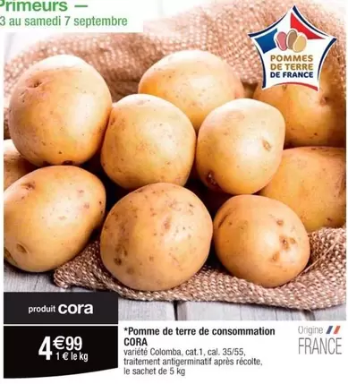 Cora - Pomme De Terre De Consommation