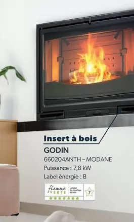 Godin - Insert À Bois  offre sur Proxi Confort