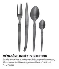 Menagere 16 Pieces Intuition 