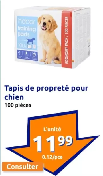 Tapis De Propreté Pour Chien