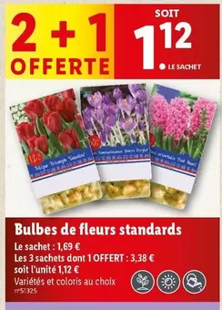 Bulbes De Fleurs Standards