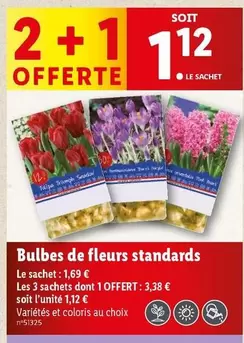 Bulbes De Fleurs Standards