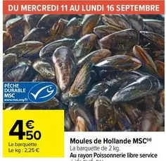 moules de hollande msc