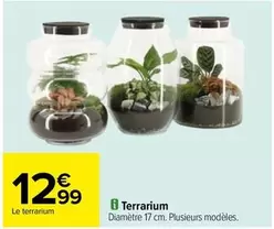 terrarium