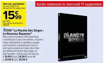 la panette des singes : le nouveau royaume