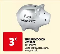 Tirelire Cochon Massage