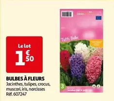 Bulbes À Fleurs