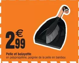 Pelle Et Balayette