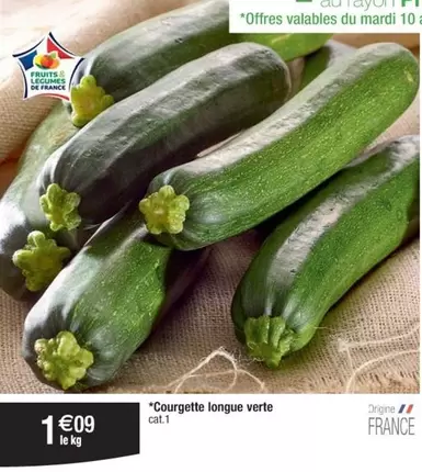 Courgette Longue Verte