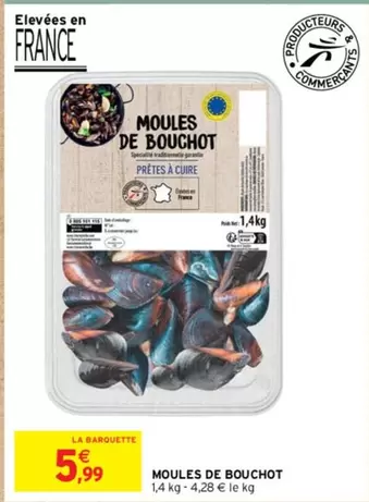 Moules De Bouchot