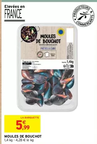 Moules De Bouchot