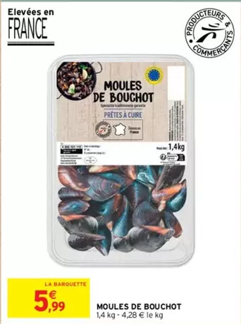 Moules De Bouchot