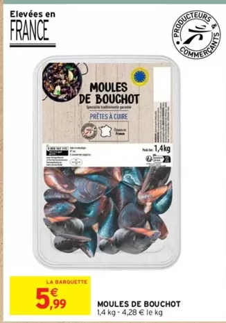 Moules De Bouchot