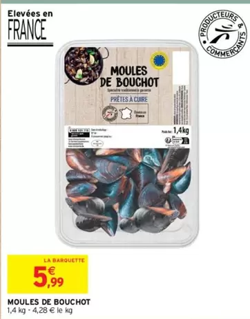 Moules De Bouchot