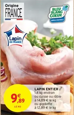 Lapin Entier