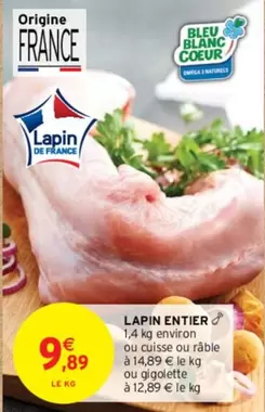 Lapin Entier