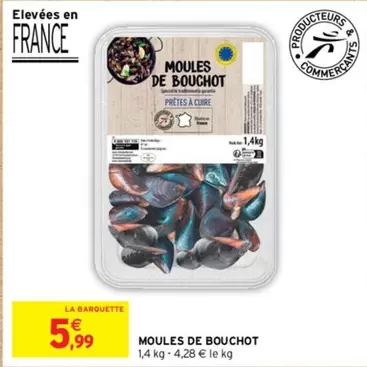 Moules De Bouchot