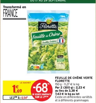 Florette - Feuille De Chêne Verte