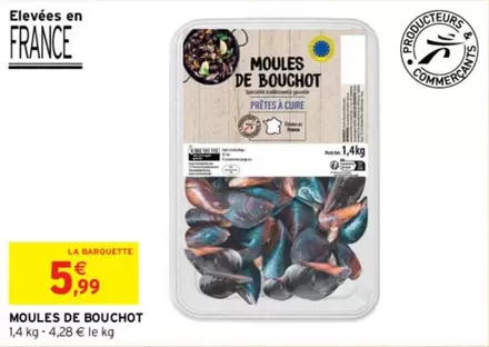 Moules De Bouchot